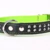 Yogipet - Collier Cuir Nylon Studs Pour Chien - Vert