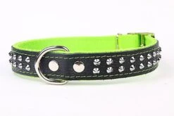 Yogipet - Collier Cuir Nylon Studs Pour Chien - Vert