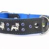 Yogipet - Collier Cuir French Bulldog Pour Chien - Bleu 2 Yogipet - Collier Cuir French Bulldog Pour Chien - Bleu -Magasin De Fournitures Pour Chiens De Compagnie 29169
