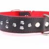 Yogipet - Collier Large Cuir Clouté Pour Chien - Rouge -Magasin De Fournitures Pour Chiens De Compagnie 29173