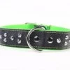 Yogipet - Collier Large Cuir Clouté Pour Chien - Vert 1 Yogipet - Collier Large Cuir Clouté Pour Chien - Vert -Magasin De Fournitures Pour Chiens De Compagnie 29175