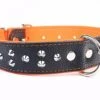 Yogipet - Collier Large Cuir Clouté Pour Chien - Orange -Magasin De Fournitures Pour Chiens De Compagnie 29177