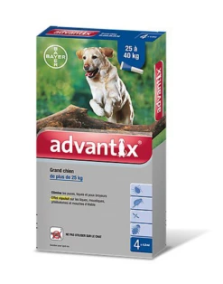 Bayer Pipettes Antiparasitaires Advantix