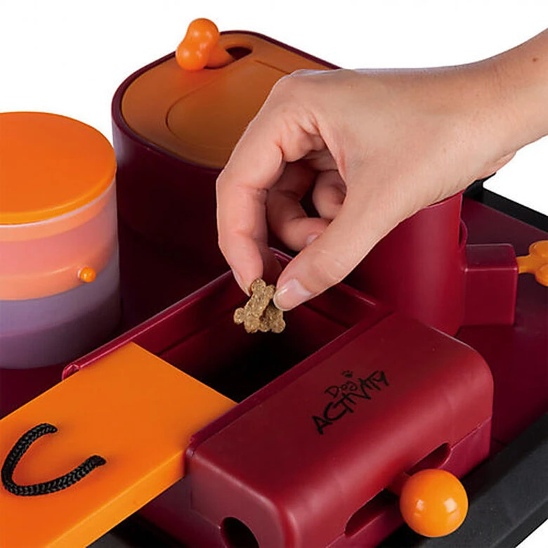 Dog Activity - Jouet Éducatif Poker Box 2 Pour Chien 4 Dog Activity - Jouet Éducatif Poker Box 2 Pour Chien – Image 2