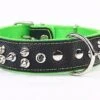 Yogipet - Collier Large Cuir Pointe Pour Chien - Vert -Magasin De Fournitures Pour Chiens De Compagnie 37773