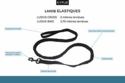 Kyflie - Laisse élastique Anti-chocs LUDUS CROSS Noir Pour Chien - 2m 6 Kyflie - Laisse élastique Anti-chocs LUDUS CROSS Noir Pour Chien - 2m -Magasin De Fournitures Pour Chiens De Compagnie 37865