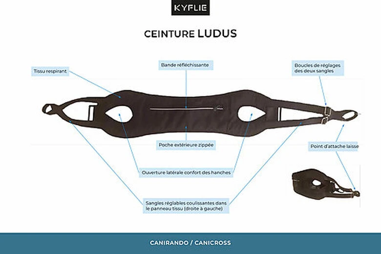 Kyflie - Ceinture De Traction LUDUS Noir Pour Chien 4 Kyflie - Ceinture De Traction LUDUS Noir Pour Chien – Image 2