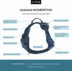 Kyflie - Harnais De Promenade MOMENTUM Rose Pour Chien -Magasin De Fournitures Pour Chiens De Compagnie 37870