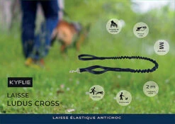 Kyflie - Laisse élastique Anti-chocs LUDUS CROSS Noir Pour Chien - 2m 7 Kyflie - Laisse élastique Anti-chocs LUDUS CROSS Noir Pour Chien - 2m -Magasin De Fournitures Pour Chiens De Compagnie 38816