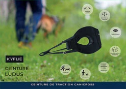 Kyflie - Ceinture De Traction LUDUS Noir Pour Chien 7 Kyflie - Ceinture De Traction LUDUS Noir Pour Chien -Magasin De Fournitures Pour Chiens De Compagnie 38817