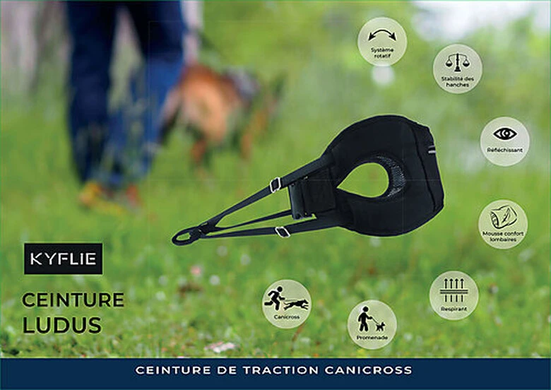 Kyflie - Ceinture De Traction LUDUS Noir Pour Chien 5 Kyflie - Ceinture De Traction LUDUS Noir Pour Chien – Image 3