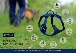 Kyflie - Harnais De Promenade MOMENTUM Rose Pour Chien -Magasin De Fournitures Pour Chiens De Compagnie 38819
