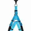Animalis - Harnais Basic Confort T4 40mm Et 96/120cm Pour Chien - Bleu -Magasin De Fournitures Pour Chiens De Compagnie 39461 1
