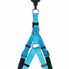 Animalis - Harnais Basic Confort T2 20mm Et 57/75cm Pour Chien - Bleu -Magasin De Fournitures Pour Chiens De Compagnie 39461