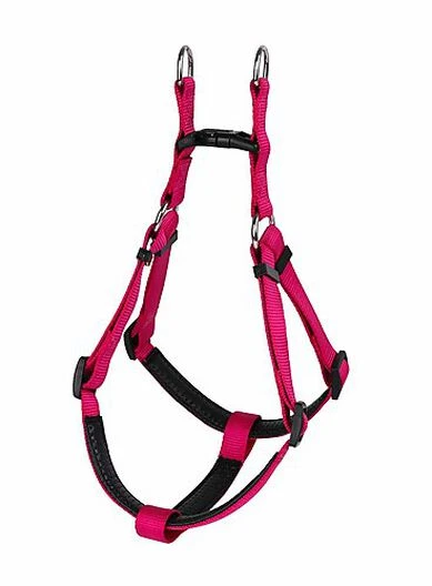 Animalis - Harnais Basic Confort T2 20mm Et 57/75cm Pour Chien - Fuchsia 4 Animalis - Harnais Basic Confort T2 20mm Et 57/75cm Pour Chien - Fuchsia – Image 2