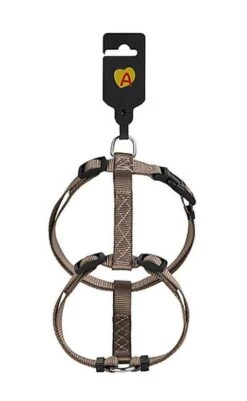 Magasin De Fournitures Pour Chiens De Compagnie -Magasin De Fournitures Pour Chiens De Compagnie 39470 1