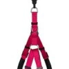 Animalis - Harnais Basic Confort T2 20mm Et 57/75cm Pour Chien - Fuchsia