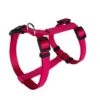 Animalis - Harnais Basic T2 20mm Et 52/80cm Pour Chien - Fuchsia -Magasin De Fournitures Pour Chiens De Compagnie 39476