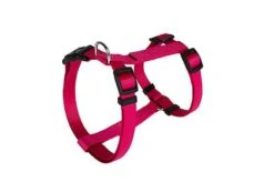 Animalis - Harnais Basic T2 20mm Et 52/80cm Pour Chien - Fuchsia