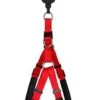 Animalis - Harnais Basic Confort T4 40mm Et 96/120cm Pour Chien - Rouge -Magasin De Fournitures Pour Chiens De Compagnie 39477