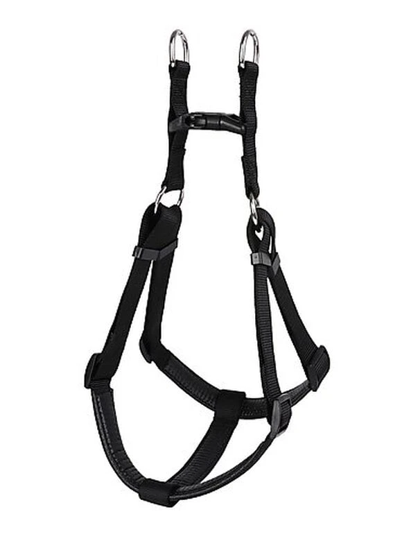 Animalis - Harnais Basic Confort T4 40mm Et 96/120cm Pour Chien - Noir 4 Animalis - Harnais Basic Confort T4 40mm Et 96/120cm Pour Chien - Noir – Image 2