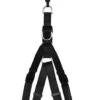Animalis - Harnais Basic Confort T3 25mm Et 75/96cm Pour Chien - Noir 2 Animalis - Harnais Basic Confort T3 25mm Et 75/96cm Pour Chien - Noir -Magasin De Fournitures Pour Chiens De Compagnie 39488
