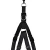 Animalis - Harnais Basic Confort T2 20mm Et 57/75cm Pour Chien - Noir 2 Animalis - Harnais Basic Confort T2 20mm Et 57/75cm Pour Chien - Noir -Magasin De Fournitures Pour Chiens De Compagnie 39488 2