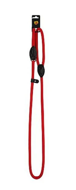 Animalis - Laisse Corde 1/2 Étrangleur De 160cm Pour Chien - Rouge