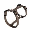 Animalis - Harnais Basic T3 25mm Et 63/97cm Pour Chien - Taupe