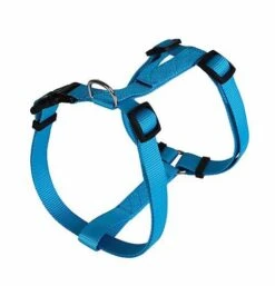 Animalis - Harnais Basic T2 20mm Et 52/80cm Pour Chien - Bleu