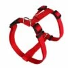 Animalis - Harnais Basic T2 20mm Et 52/80cm Pour Chien - Rouge