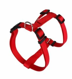Animalis - Harnais Basic T2 20mm Et 52/80cm Pour Chien - Rouge