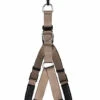 Animalis - Harnais Basic Confort T3 25mm Et 75/96cm Pour Chien - Taupe 2 Animalis - Harnais Basic Confort T3 25mm Et 75/96cm Pour Chien - Taupe -Magasin De Fournitures Pour Chiens De Compagnie 39560