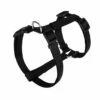 Animalis - Harnais Basic T2 20mm Et 52/80cm Pour Chien - Noir -Magasin De Fournitures Pour Chiens De Compagnie 39570