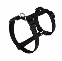 Animalis - Harnais Basic T2 20mm Et 52/80cm Pour Chien - Noir