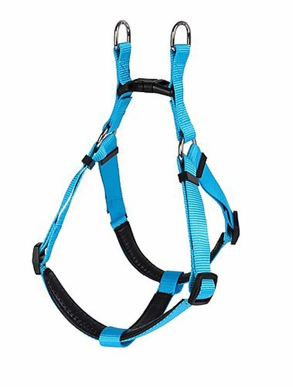 Animalis - Harnais Basic Confort T3 25mm Et 75/96cm Pour Chien - Bleu 4 Animalis - Harnais Basic Confort T3 25mm Et 75/96cm Pour Chien - Bleu – Image 2