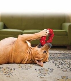 KONG - Jouet Anneau Ring En Caoutchouc Pour Chien - S/M -Magasin De Fournitures Pour Chiens De Compagnie 39766