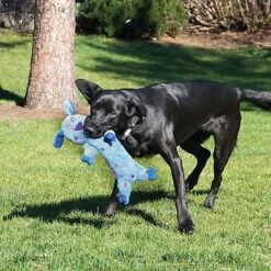 KONG - Jouet Singe Low Stuff Speckles Pour Chien - L 8 KONG - Jouet Singe Low Stuff Speckles Pour Chien - L -Magasin De Fournitures Pour Chiens De Compagnie 39772