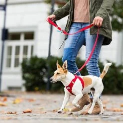 Curli - Laisse Basic En Noir Pour Chiens - L 7 Curli - Laisse Basic En Noir Pour Chiens - L -Magasin De Fournitures Pour Chiens De Compagnie 39999