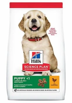 Hill's Science Plan Hill's - Canine Puppy Large Breed Poulet Pour Chiot - 12Kg