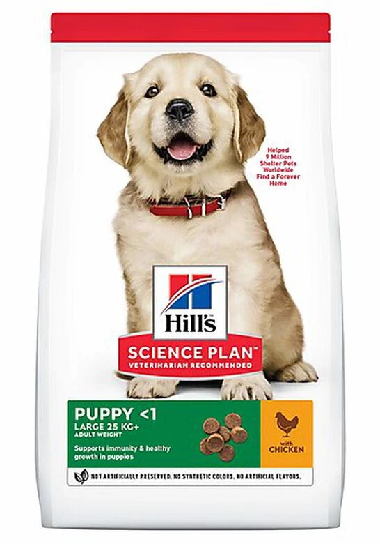 Hill's Science Plan Hill's - Canine Puppy Large Breed Poulet Pour Chiot - 12Kg 3 Hill's Science Plan Hill's - Canine Puppy Large Breed Poulet Pour Chiot - 12Kg