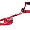 Trixie - Ceinture Ventrale Avec Laisse Pour Chien - Rouge -Magasin De Fournitures Pour Chiens De Compagnie 4069