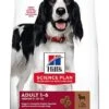 Hill's Science Plan - Croquettes à L'Agneau Et Riz Pour Chien - 12Kg -Magasin De Fournitures Pour Chiens De Compagnie 41191