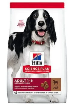 Hill's Science Plan - Croquettes à L'Agneau Et Riz Pour Chien - 12Kg