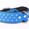 Yogipet - Collier Crystal Déco Pour Chien - Bleu 2 Yogipet - Collier Crystal Déco Pour Chien - Bleu -Magasin De Fournitures Pour Chiens De Compagnie 41857