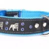 Yogipet - Collier Bulldog Cuir Crystal Pour Chien - Bleu -Magasin De Fournitures Pour Chiens De Compagnie 41897