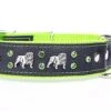 Yogipet - Collier Bulldog Cuir Crystal Pour Chien - Vert 1 Yogipet - Collier Bulldog Cuir Crystal Pour Chien - Vert -Magasin De Fournitures Pour Chiens De Compagnie 41906