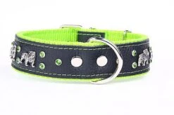 Yogipet - Collier Bulldog Cuir Crystal Pour Chien - Vert -Magasin De Fournitures Pour Chiens De Compagnie 41908