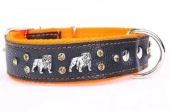 Yogipet - Collier Bulldog Cuir Crystal Pour Chien - Orange -Magasin De Fournitures Pour Chiens De Compagnie 41914