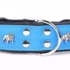 Yogipet - Collier Super Bulldog Cuir Pour Chien - Bleu -Magasin De Fournitures Pour Chiens De Compagnie 41916